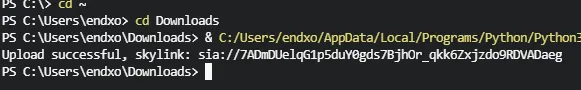 アップロード後の表示